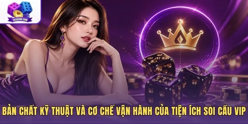 Thuật toán tiện ích soi cầu VIP qua dữ liệu chu kỳ